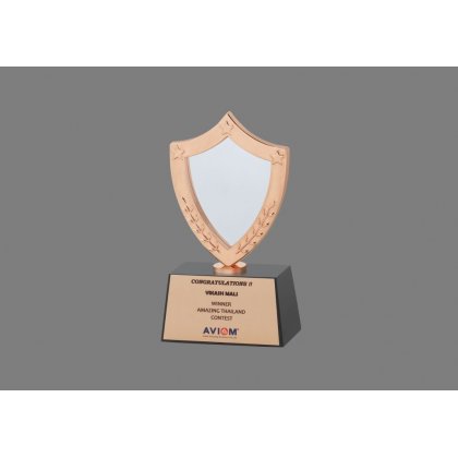 Personalized Aviom Award Trophy