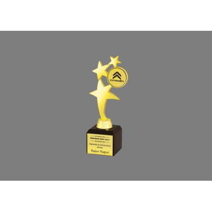Personalized Citeron Star Award Star Trophy