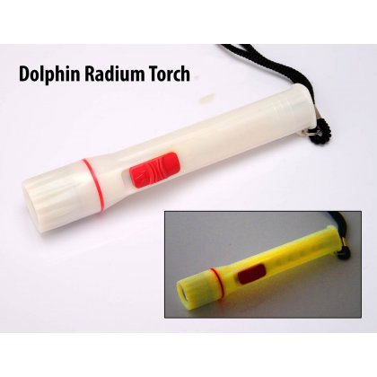 Personalized Dolphin Radium Torch