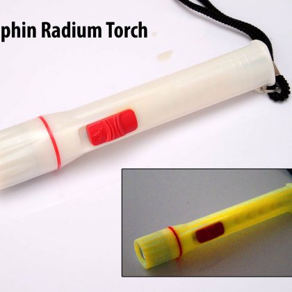 Personalized Dolphin Radium Torch