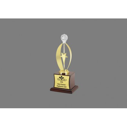 Personalized Euphoria Star Award Trophy
