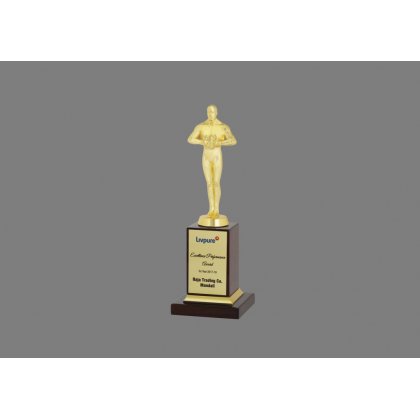 Personalized Livpure Oscar Award Trophy