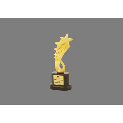 Personalized Mittal Star Award Star Trophy