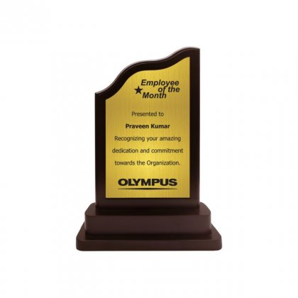 Personalized Olympus Engraving Area Trophy (3.5"X5.25")