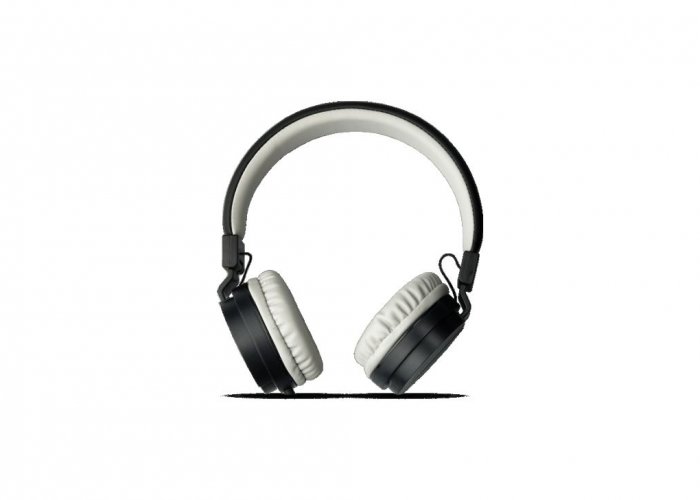 Personalized Pebble Aux Headphone With Mic (Echo Black)