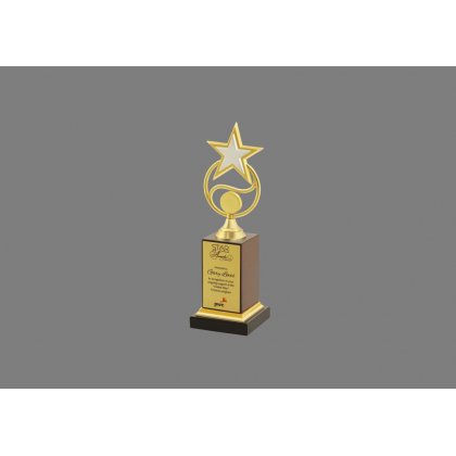 Personalized Pwc Star Award Trophy