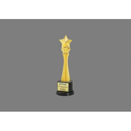 Personalized Trinity Star Award Star Trophy