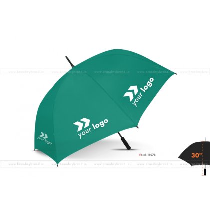 Teal Golf Umbrella -30 inch
